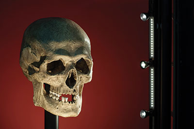 metroled illuminating trains